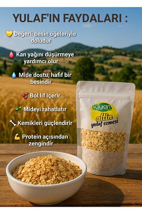  Kaykan Natural Foods - کد 868103993
