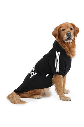  مشکی DOGİ&DOG - کد 140317888