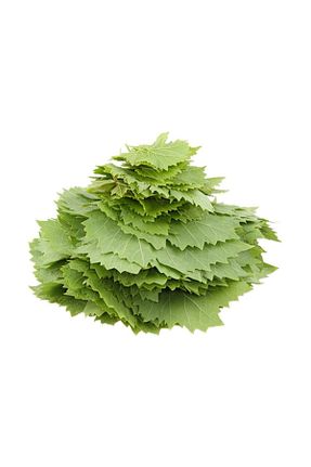 سبزی Sebze Meyve Dünyası - کد 159063199