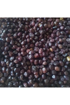 زیتون سیاه Yılancı zeytinleri - کد 55127500