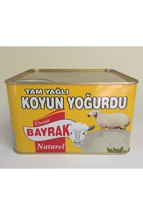 ماست Bayrak - کد 46278799