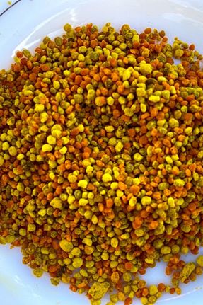 گرده گل و بره موم Köyden Gelsin - کد 189490349