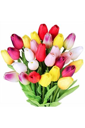 پیاز گل CANBOTANİK - کد 194996178
