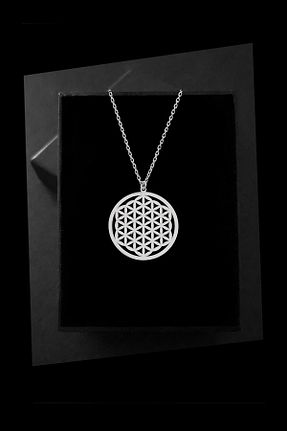 گردنبند نقره سفید زنانه 925 عیار jewelry by roxx - کد 47942015