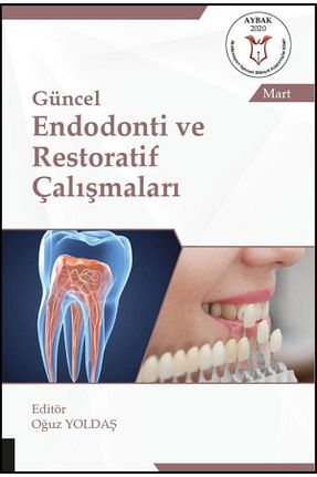 کتب پژوهشی Akademisyen Yayınevi - کد 209252659