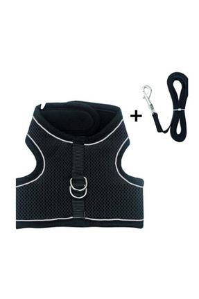 قلاده گربه زرد Minikpatilerpet - کد 207659746