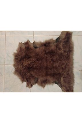 فرش قهوه ای آنتی باکتریال hoaryage - کد 218368965