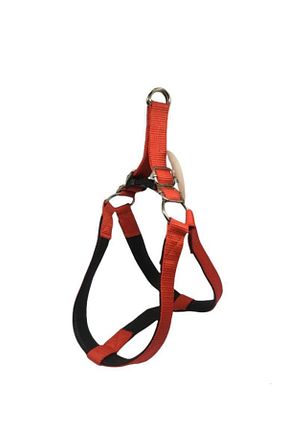 Günlük Ayakkabı قرمز Pet Pretty - کد 233998141