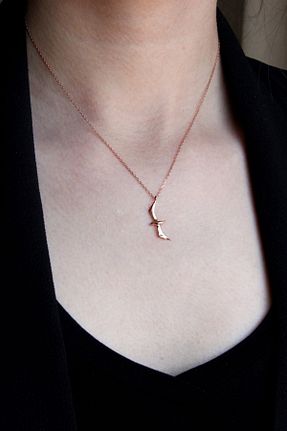 گردنبند نقره سفید زنانه 925 عیار Argentum Concept - کد 1922573