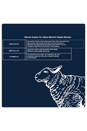  obivan - کد 255902432
