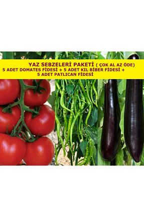 نهالها Genel Markalar - کد 260088878