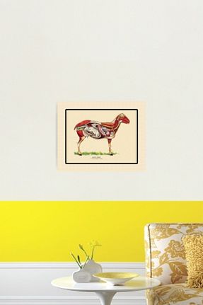تابلو رنگی چوب Universal - کد 260843301