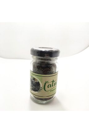  catnip - کد 263492110