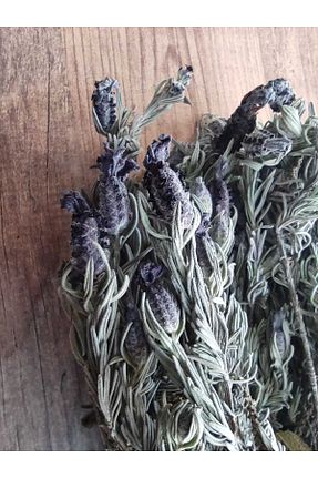 سایر چای های گیاهی NATURELDOGA - کد 267290280