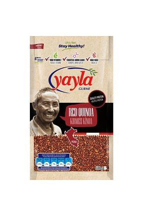  Yayla - کد 31077855