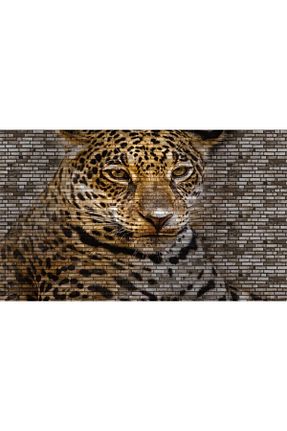 کاغذ دیواری نارنجی Yapışkan Gerekli Özen Duvar Kağıtları - کد 71856361