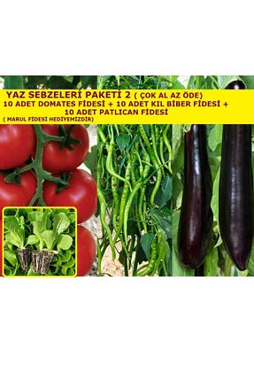 نهالها AHG BOTANİK - کد 260089302