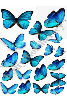 تزئینات کیک hediyehobihersey - کد 281336646
