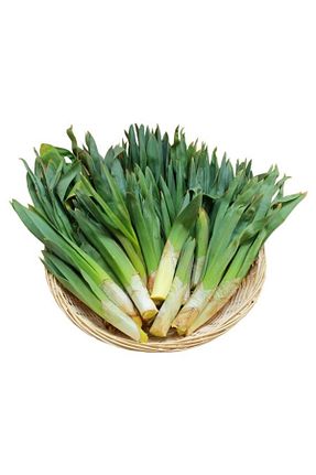 سبزی Sebze Meyve Dünyası - کد 283752913