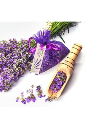 شمع صورتی 1 پارچه botanica - کد 291328559