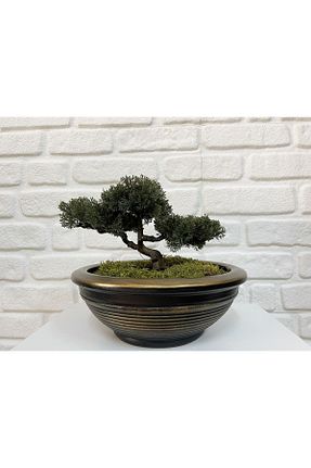 گلدان مشکی odka - کد 302694395