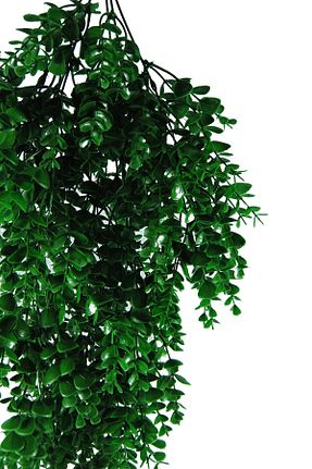 گل خشک و مصنوعی رنگی Lilac Home - کد 305059020