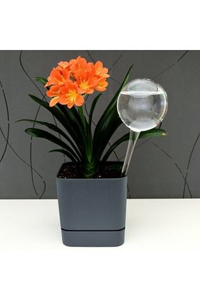 سری آبیاری Genel Markalar - کد 58701494