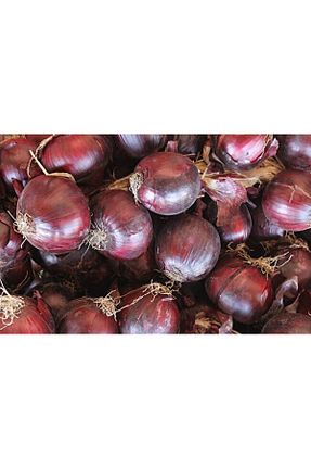 سبزی FMB GÜVENİLİR GIDA - کد 329562521