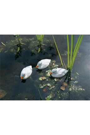 دکوراسیون استخر Havuzdayim - کد 39813567