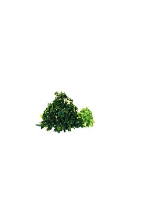 محصولات لذیذ و ارگانیک Richies - کد 339669821