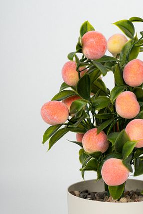 گل خشک و مصنوعی نارنجی YAPAY ÇİÇEKÇİNİZ - کد 335990345