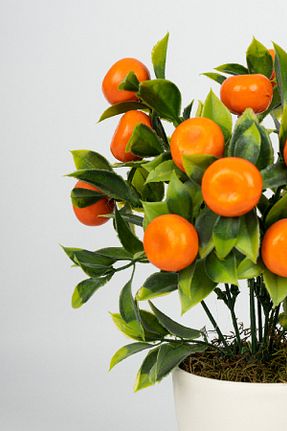 گل خشک و مصنوعی نارنجی YAPAY ÇİÇEKÇİNİZ - کد 335991908