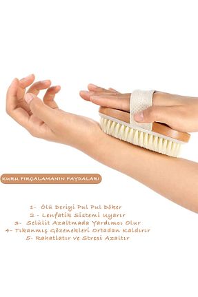 براش سلولیت NOYİSKA - کد 355605301