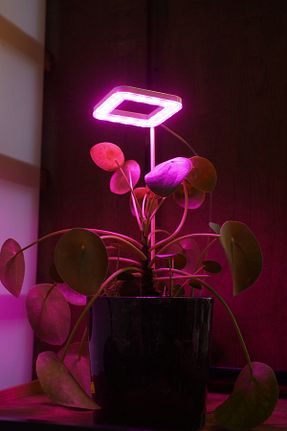 چراغ LED صورتی ORİONLED - کد 366561118