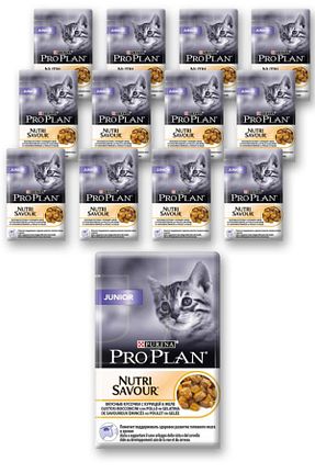 غذای خشک گربه خیر Pro Plan - کد 76581207