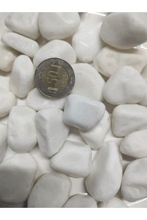 اجسام تزئینی و بیبلو سفید Lampello - کد 457495593