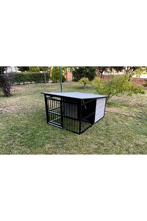  طوسی Petpone - کد 370479274