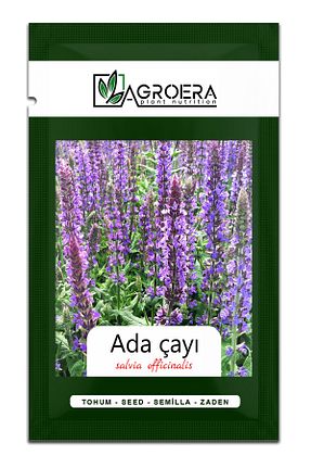 بذرها Çiçek Tohumu AGROERA - کد 467493028