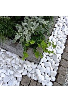 باغچه سرگرمی سفید Ekodoğa - کد 33707111