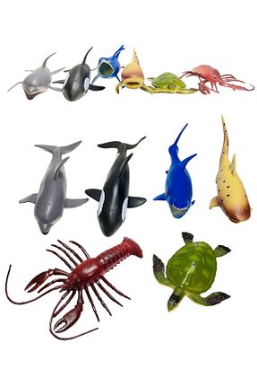 اسباب بازی آموزشی Türkçe tmtoysandmore - کد 467757946
