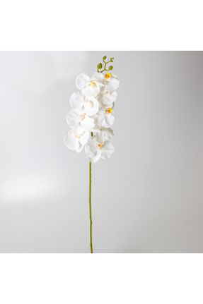 گل مصنوعی سفید کد 467703517