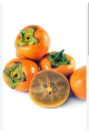 نهال میوه پیوندی Doğan Fidancılık - کد 533597702