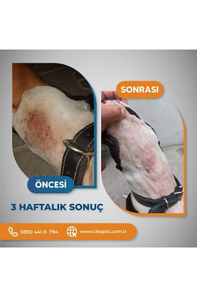 دستمال مرطوب حیوان خانگی Cleapet - کد 237945277