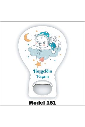 مگنت سبز Nar Promosyon - کد 641977694