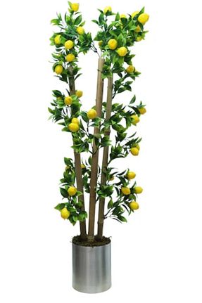 گل خشک و مصنوعی زرد RUZGARCİCEK - کد 647559789