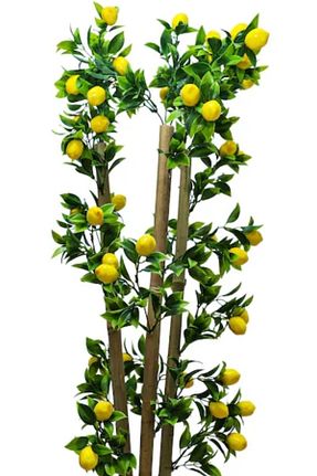 گل خشک و مصنوعی زرد RUZGARCİCEK - کد 647559789