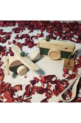 اسباب بازی چوبی سبز aswood - کد 651282945
