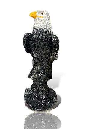 اجسام تزئینی و بیبلو مشکی Alçı Bordo - کد 653713445
