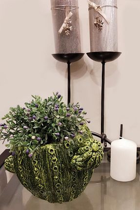 گلدان سبز nftart.design - کد 443340117