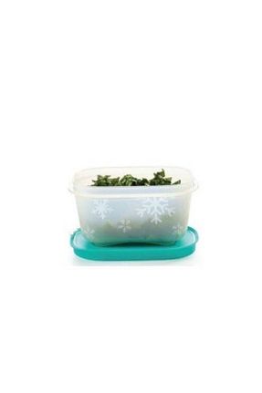 ظرف نگهداری آبی پلاستیک Tupperware - کد 89522371